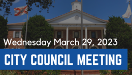 march 29 council meeting