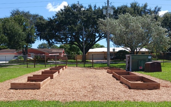 community garden at jim ward