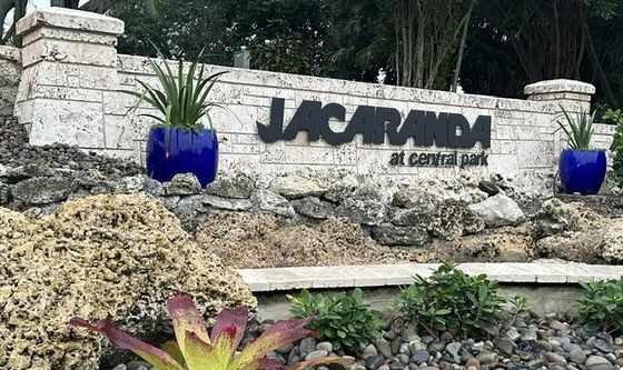 Jacaranda plantation fl