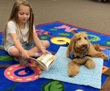 therapy dogs at the library