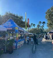 farmers market