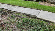 sidewalk repairs