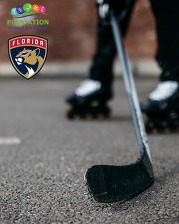 panther partner hockey rink central park