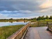 volunteer park bridges