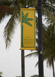 Gateway district palm tree banner