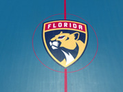 fl panther logo on roller rink