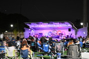 rock the park concert