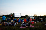 Movies in the Park