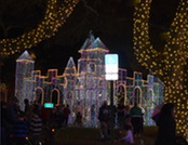light up city hall