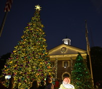 light up city hall