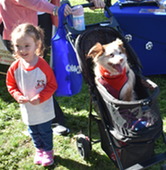 Doggie Palooza