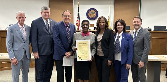 Commissioner Hazelle Rogers at Council 