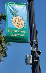 LPR in Gateway