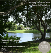 nature corner mag cover image