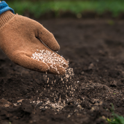 fertilizer stock image