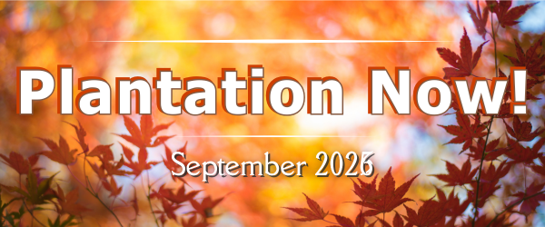 September header