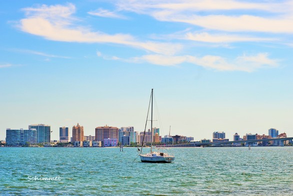 Schimmel - Sailboat looking toward downtown