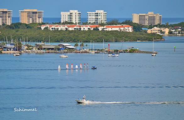 Schimmel - small sailboats on bay