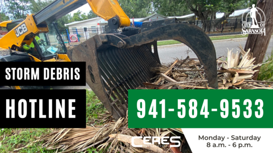 Storm debris hotline