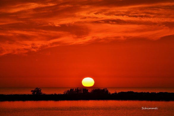 Schimmel - orange sunset