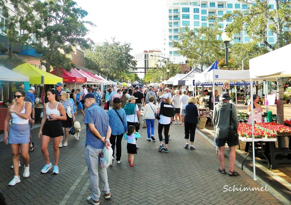 Schimmel - Farmers Market