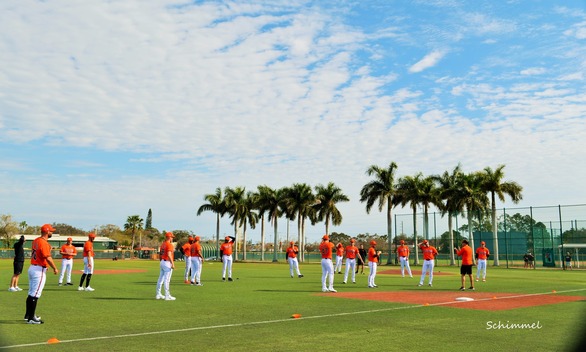 Schimmel - Orioles Spring Training 2024