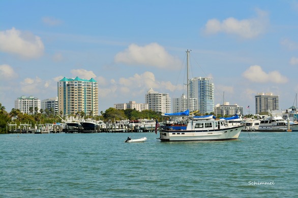 Schimmel - marina with skyline