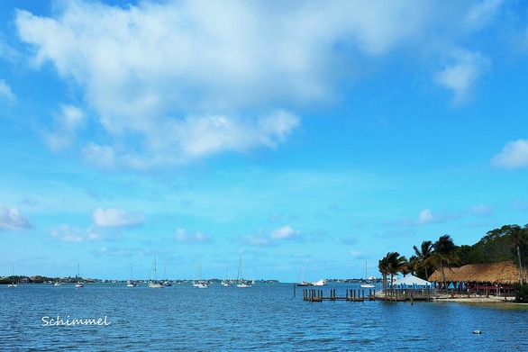 Bayfront Park, May 2024