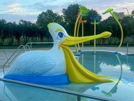 RLTCC pool pelican