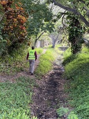 School Ave Greenway Expansion