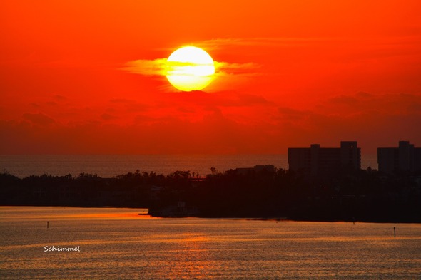 Sarasota Scene