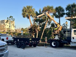 Storm debris pickup