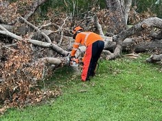 Post-Milton park cleanup - MLK Park