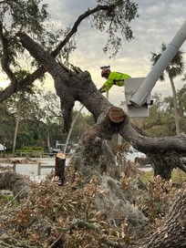 Post-Milton - parks cleanup MLK Park