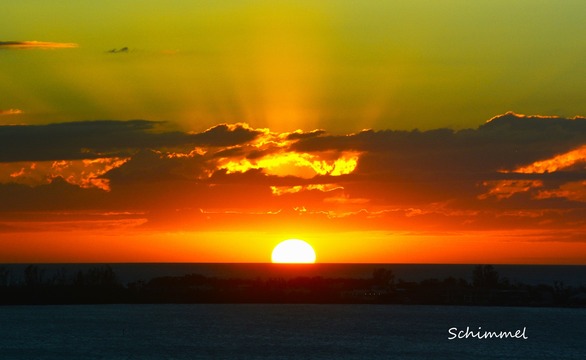 Schimmel - Sunset Nov. 2024