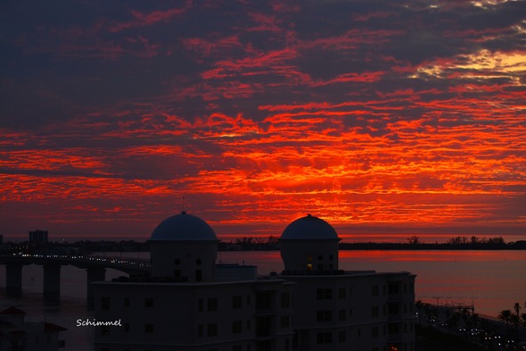 Sarasota Scene 1.6.25