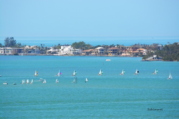 Schimmel - Sailboats