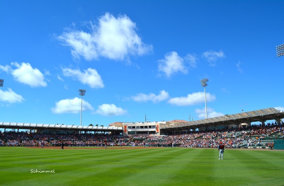 Schimmel - Orioles 2025