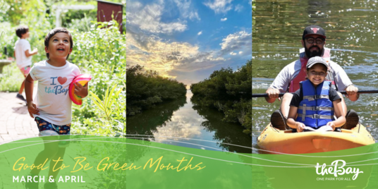 Good to be Green flyer