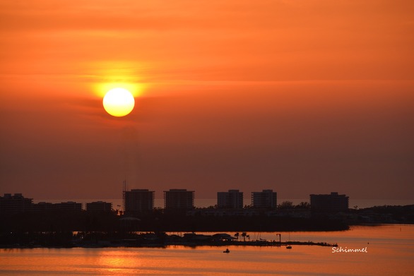 Schimmel - sunset March 2025