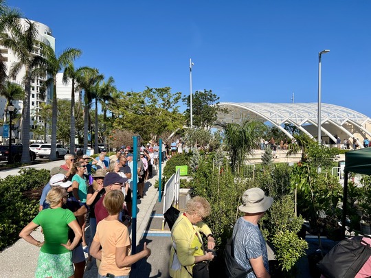 Good to Be Green tree giveaway