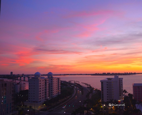 Schimmel - sunset 7825