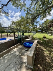 new water area small dog