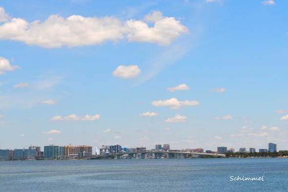 Schimmel - skyline 2025