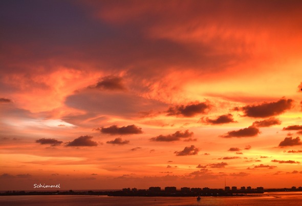 Schimmel - tangerine sunset