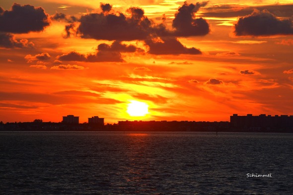Schimmel - Orange sunset 82825