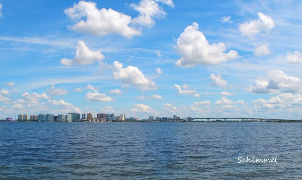 Schimmel - looking at downtown skyline