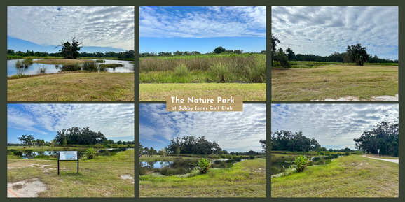 2025 Oct 1 The Nature Park