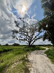 Nature Park at BJGC 2025
