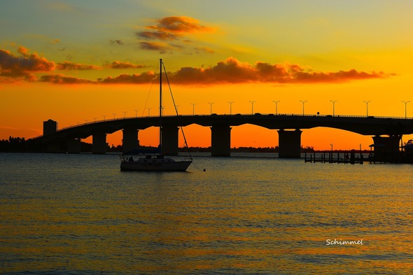 Schimmel - CN 103125